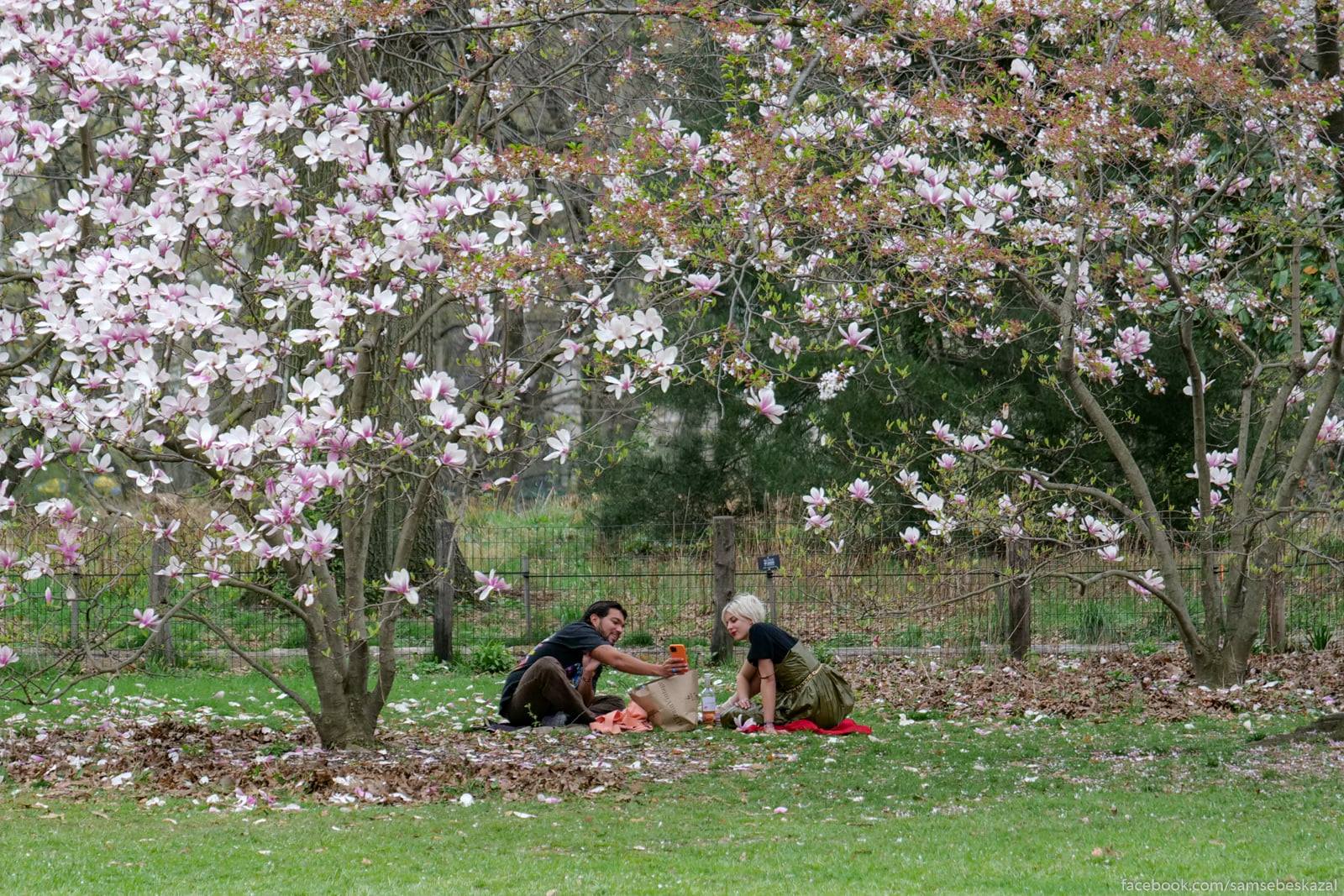 Piknik v Central'nom parke.